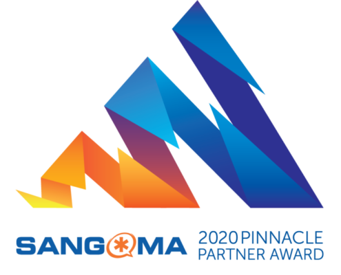 2020 Pinnacle Partner Award Winner Digital Agent